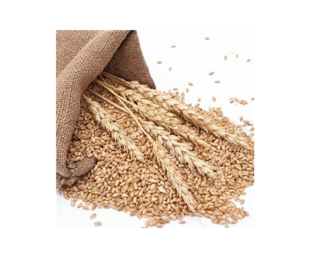 DURUM WHEAT SKINLESS 55LB